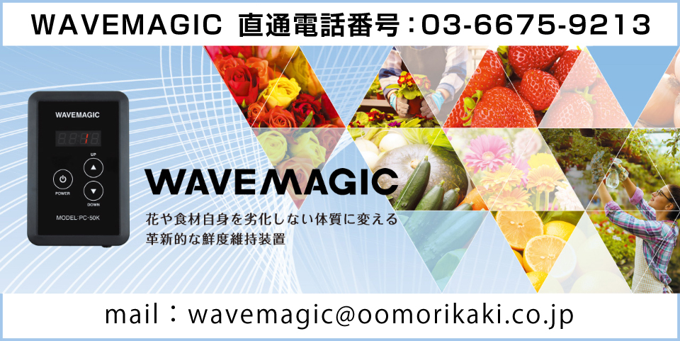 WAVEMAGIC