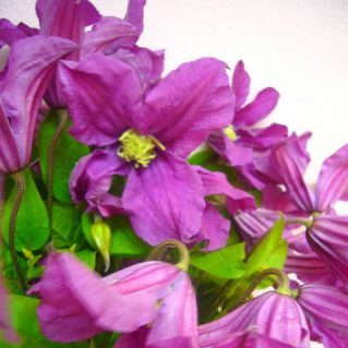 インスピレーション