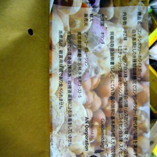 コンテンポラリーホワイトガーデン