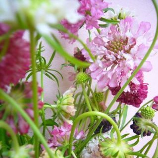 トールダブルミックス