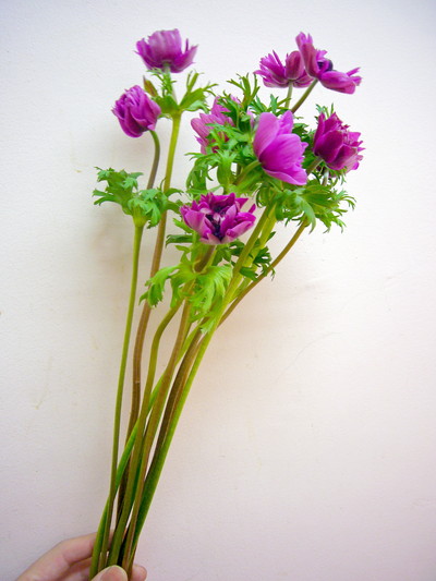 セントブリジット