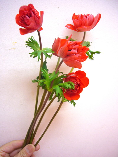 セントブリッジ