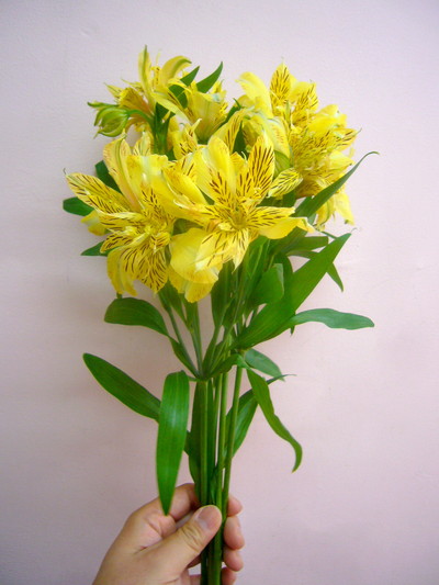 エクスプロージョン