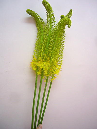 エレムレスイエロー