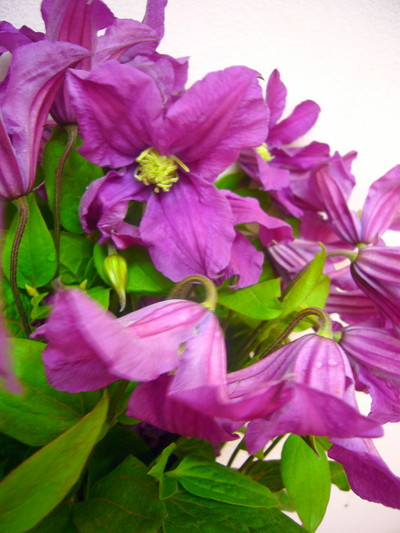 インスピレーション