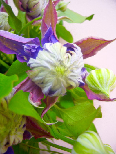 マジックフォンテン