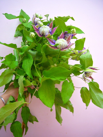 マジックフォンテン