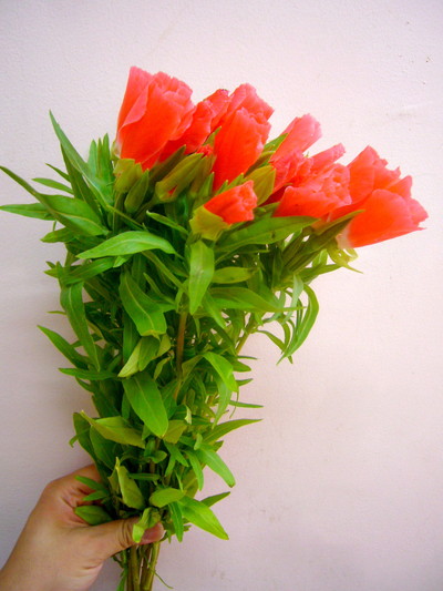 ジューンサーモン