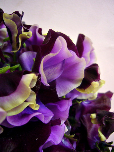 ダンスクイーン