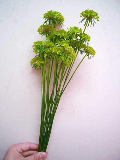 テラプチグリーン