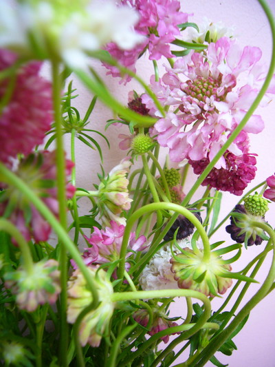 トールダブルミックス