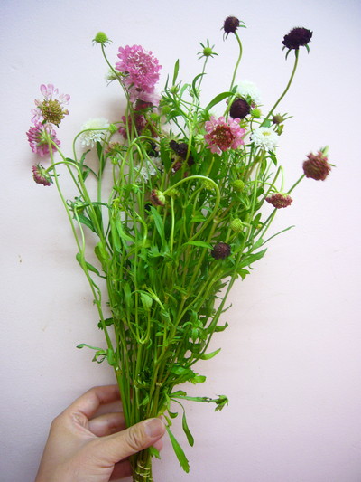 トールダブルミックス