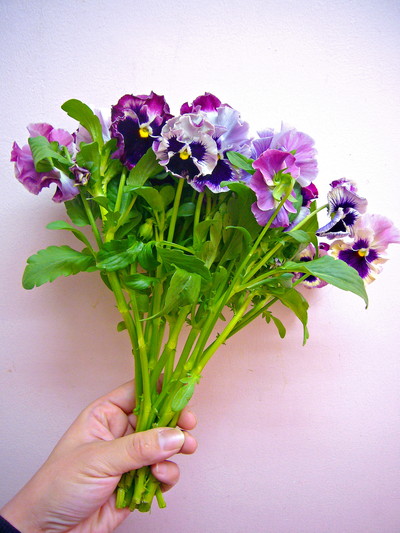 ローズトリカラー