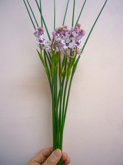 クリスタルリリー