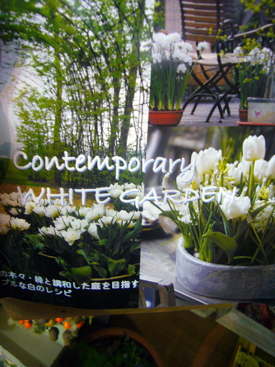 コンテンポラリーホワイトガーデン