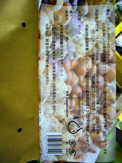 コンテンポラリーホワイトガーデン