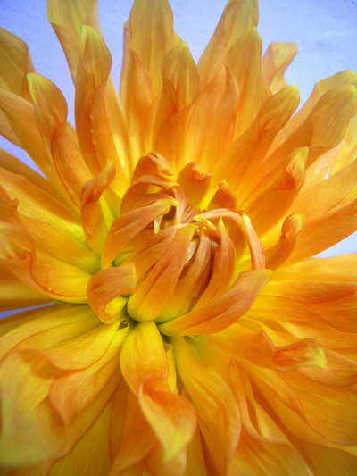 ベンヒューストン