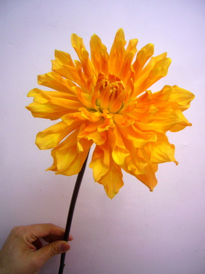 ベンヒューストン