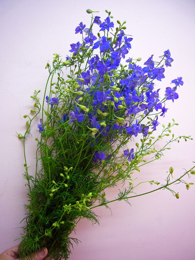 R.ブルースイング