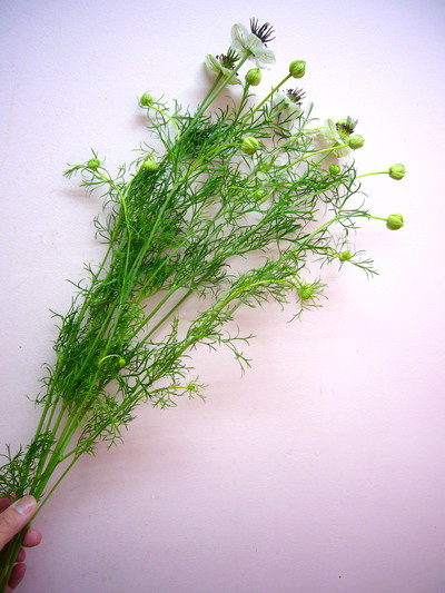 アフリカンブライド