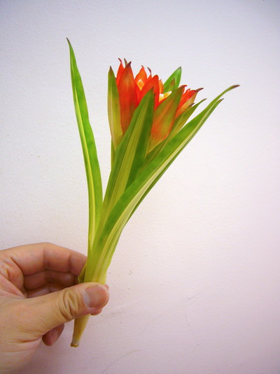 アイスクリーム