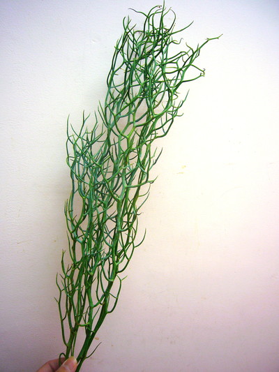 レインディアワトル