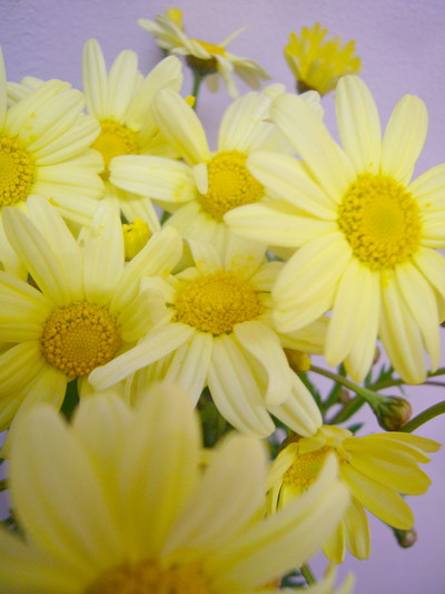 スーパーレモネード