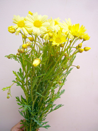 スーパーレモネード