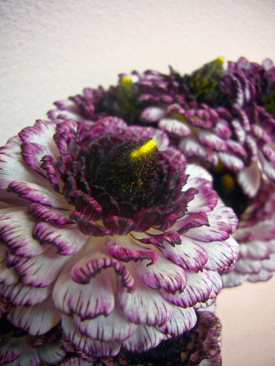 モロッコ　ララーシュ