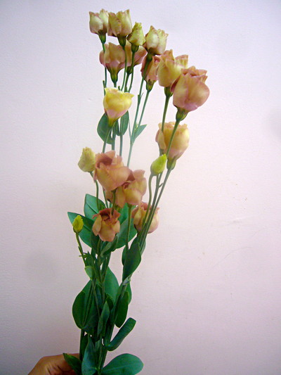 アンバーミニブラウン