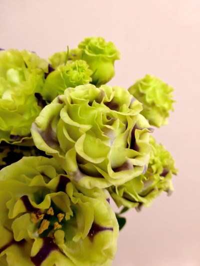 カーネマーブル