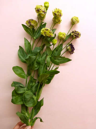 カーネマーブル