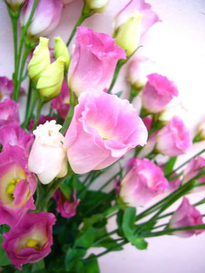 グラデルージュ