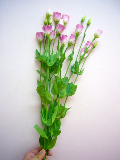 グラデルージュ