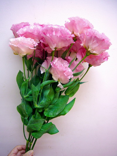 サカタフリンジ