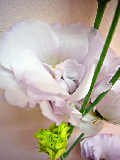 シルバーエンブレム