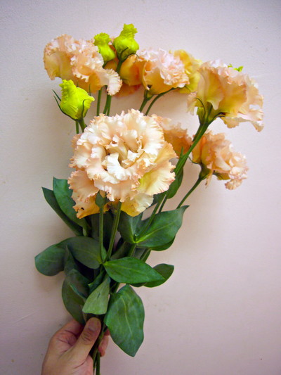 ボヤージュアプリコット