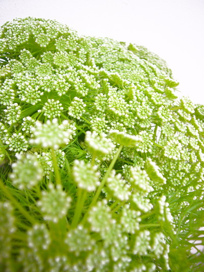 グリーンミスト