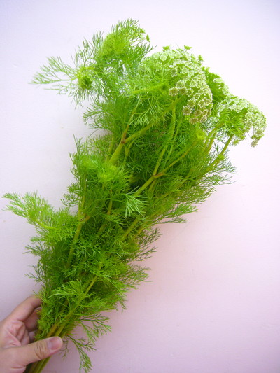 グリーンミスト