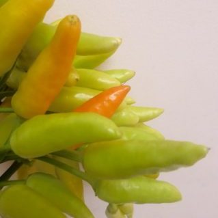 C.トップフルーツ