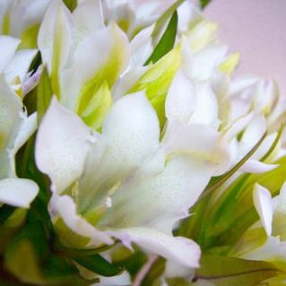 オータムブライダル