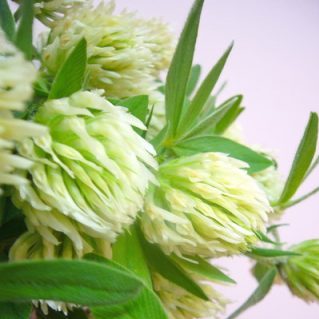 クリスタルキャンドル