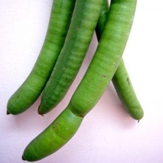 ゴールデンシャワー