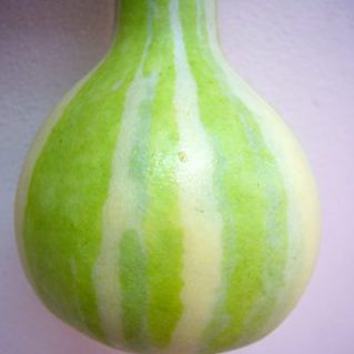 シマシマヒョウタン