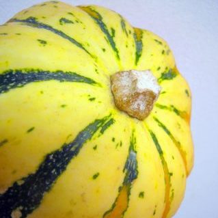 セレブレーション