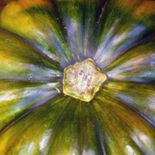 マスキードプロバンス