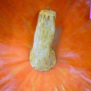 ルージュヴィデタンプ