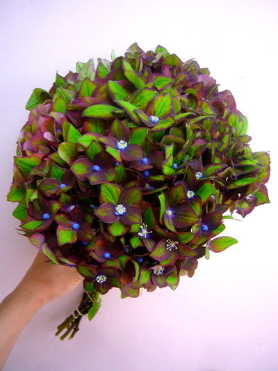 リザードレッド