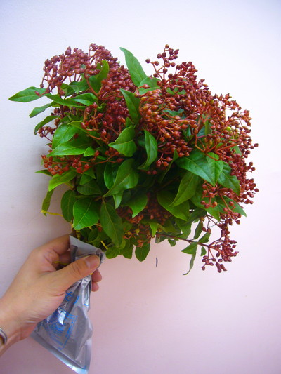 V.ティナス ワイン