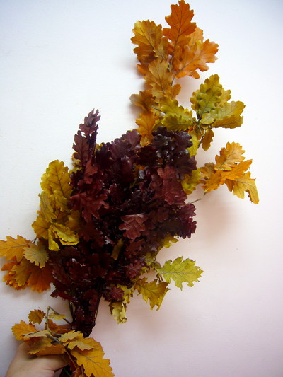 オーク ソメミックス